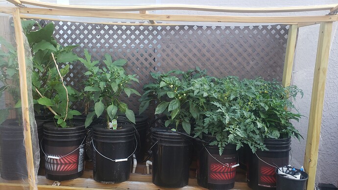 6Hydro1