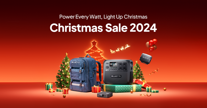 xmas sale 2024